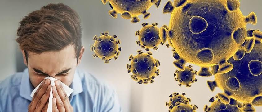 5 Fakta Mengenai Virus Cacar Monyet! Berbahayakah? Ayo Cari Tau Gan!