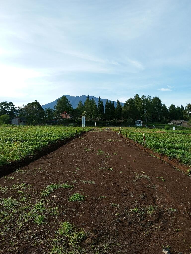 Tanah Sudah Zona Kuning, Enak! Bisa dibangun apa aja, Apalagi lokasinya strategus
