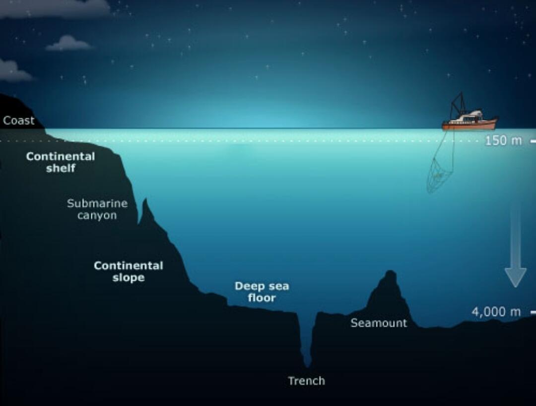 Ini Dia Ilustrasi Dalamnya Laut yang Begitu Menyeramkan &#91;Warning : Sangat Dalam&#93;