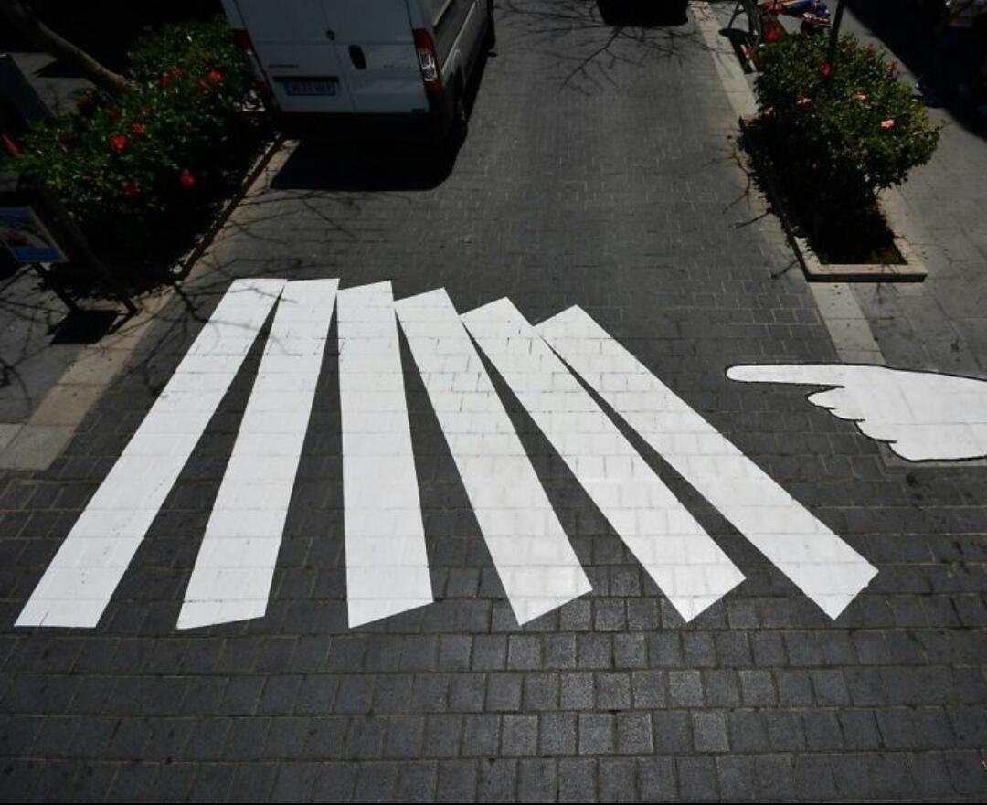 Wah Indahnya! 13 Potret Karya Seni dari Zebra Cross