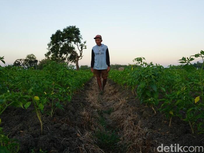 Potret Desa Memek di Jawa Timur, Asal-Usul Namanya Masih Teka-