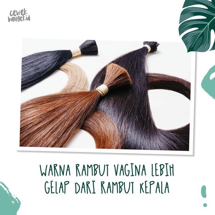 Apakah Rambut Blonde, Merah, Coklat, Bulu Kemaluan Dan Keteknya Juga Berwarna Sama? 