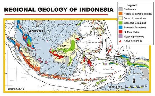 Mengapa di Indonesia Tidak Ada Fosil Dinosaurus?
