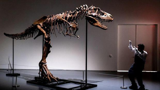 Mengapa di Indonesia Tidak Ada Fosil Dinosaurus?