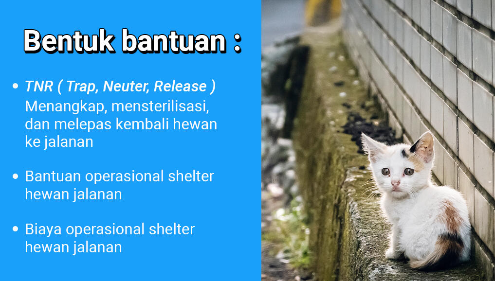#BagiBerkat untuk hewan jalanan yang terlantar