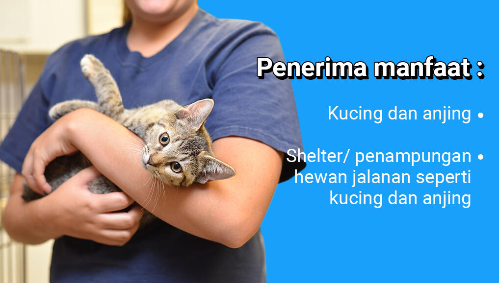 #BagiBerkat untuk hewan jalanan yang terlantar