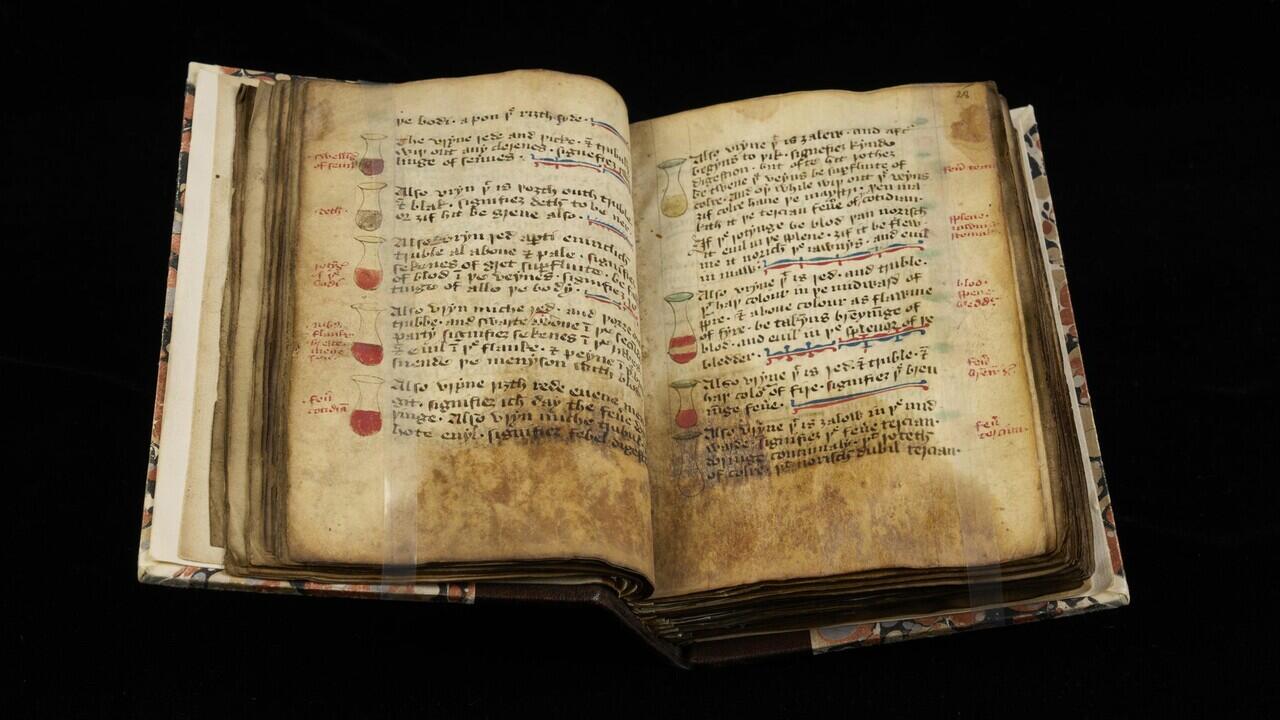Manuscript Kuno Berisi Pengobatan Jaman Abad Pertengahan yang Aneh
