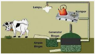 Bio Gas Kotoran Sapi