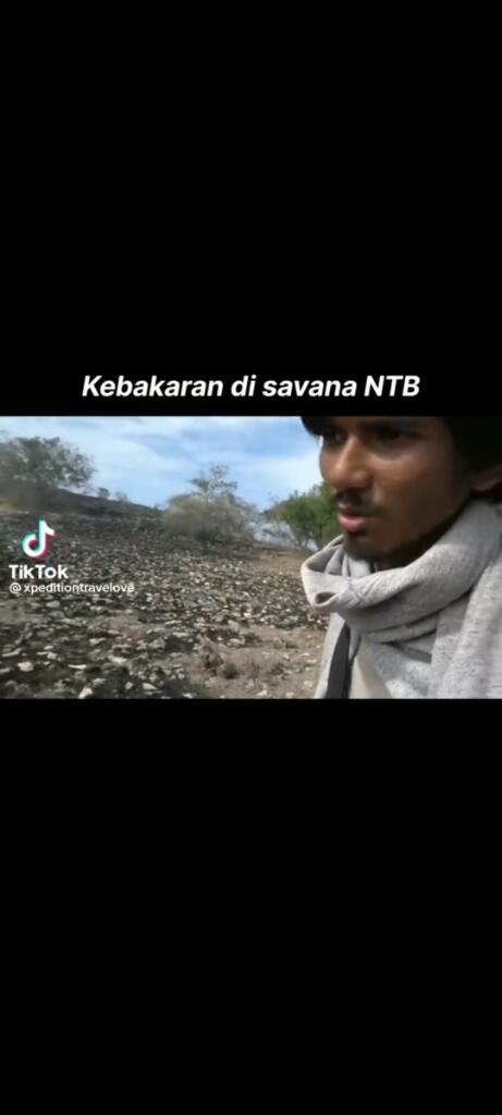 3 pria pemberani berusaha memadamkan kebakaran di Savana NTB,Sumbawa