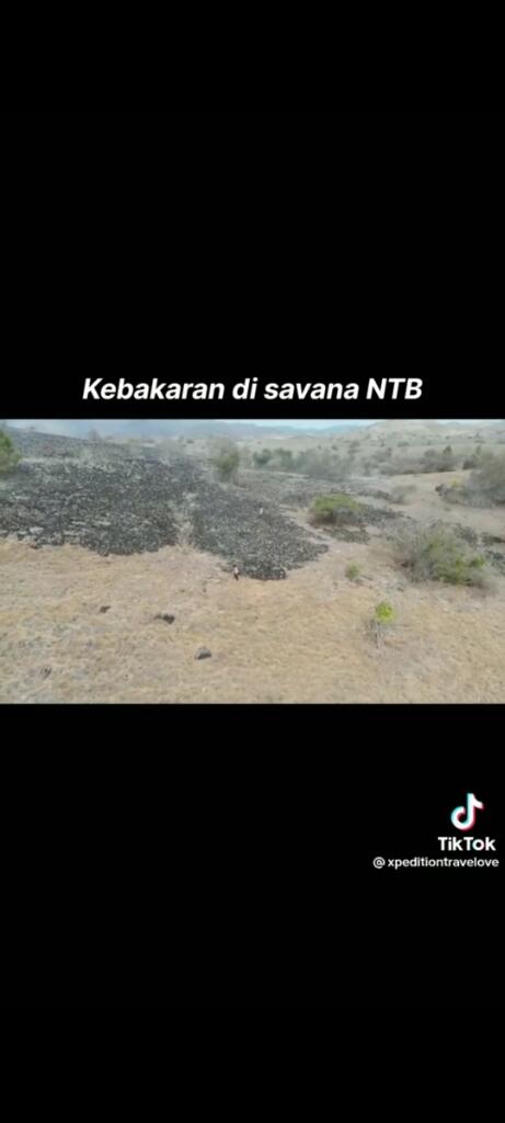 3 pria pemberani berusaha memadamkan kebakaran di Savana NTB,Sumbawa