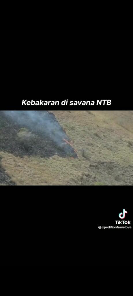 3 pria pemberani berusaha memadamkan kebakaran di Savana NTB,Sumbawa