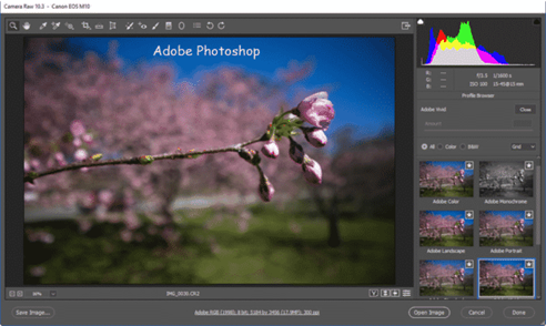 Kelebihan dan Kekurangan Adobe Photoshop