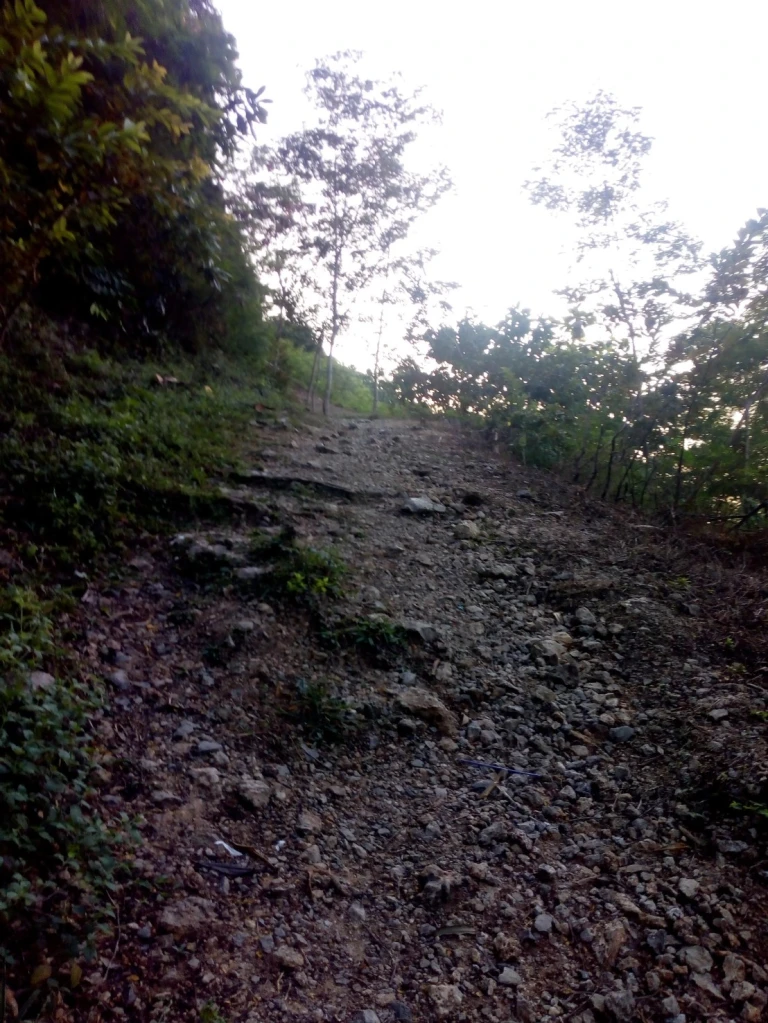 Bukit Roti, Roti Raksasa di Bogor