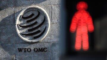 RI Kalah di WTO? Tenang, Masih Ada Harapan Buat Banding!
