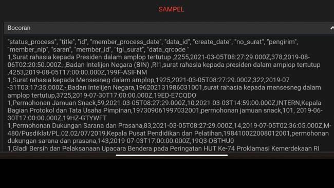Bjorka Klaim Hack 679 Ribu Transaksi Surat dan Dokumen Rahasia Presiden RI