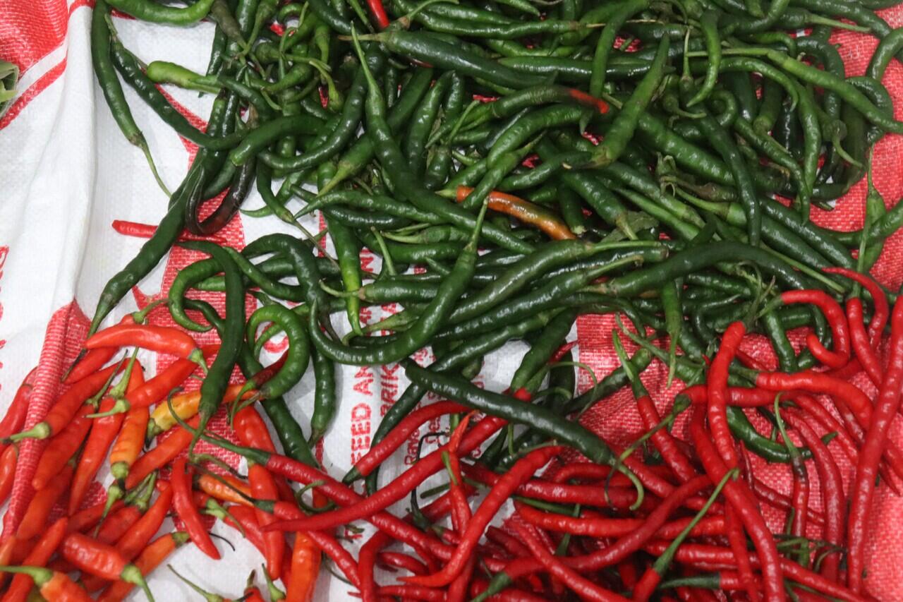 Smart Farming Membantu Meningkatkan Hasil Panen Cabai