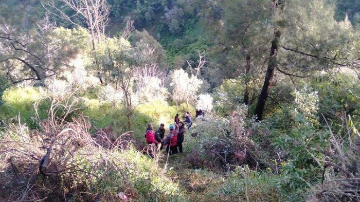 Kecelakaan Maut Jip Masuk ke Jurang di Gunung Bromo, Wisatawan dan Sopir Tewas