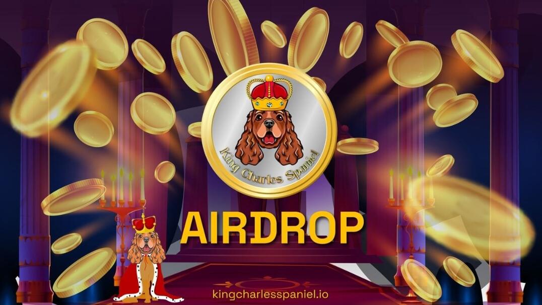 King Charles Spaniel Airdrop