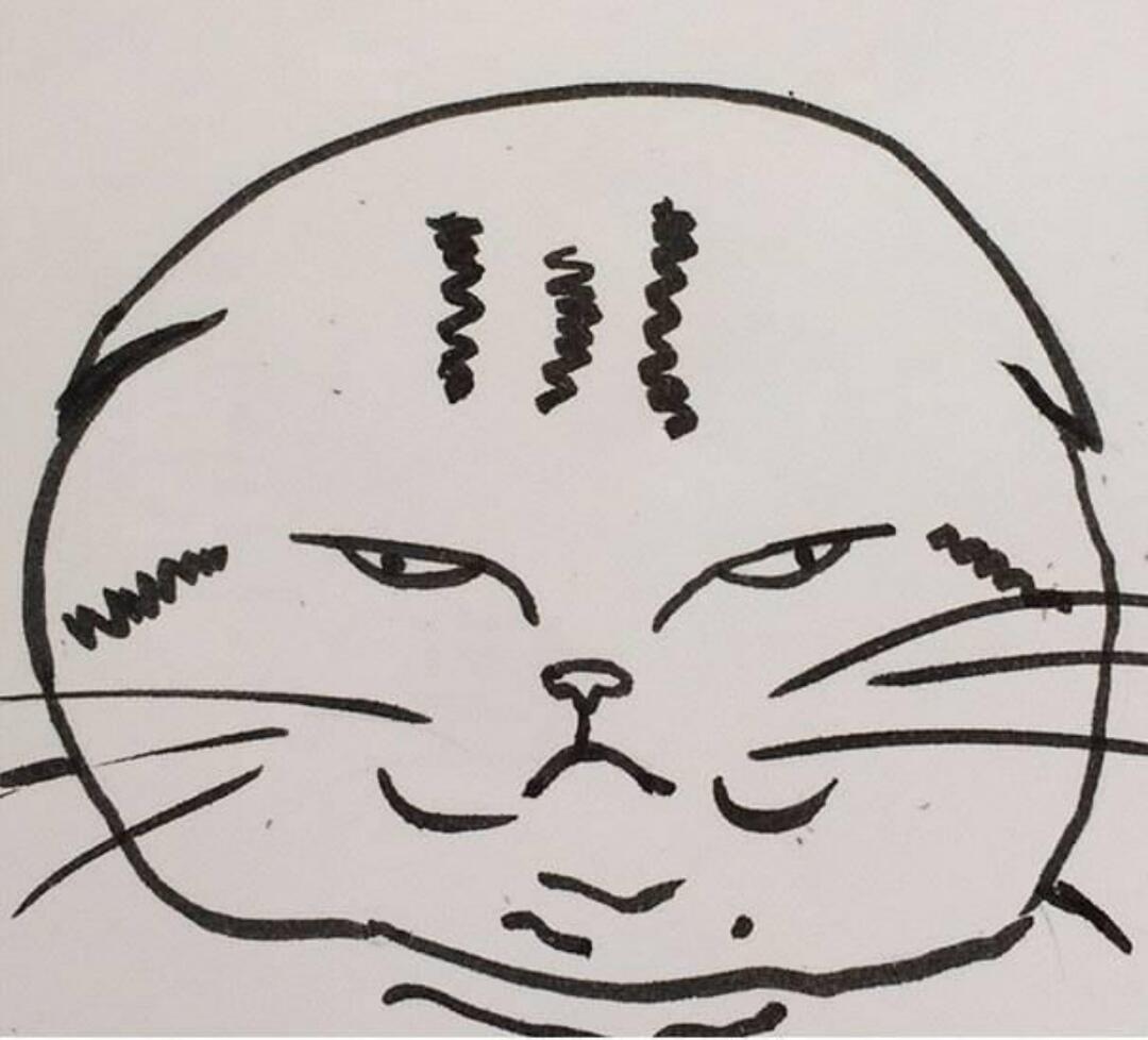 Gokil! 10 Pose Kucing Terkonyol Beserta Ilustrasi Gambarnya Pada Kertas