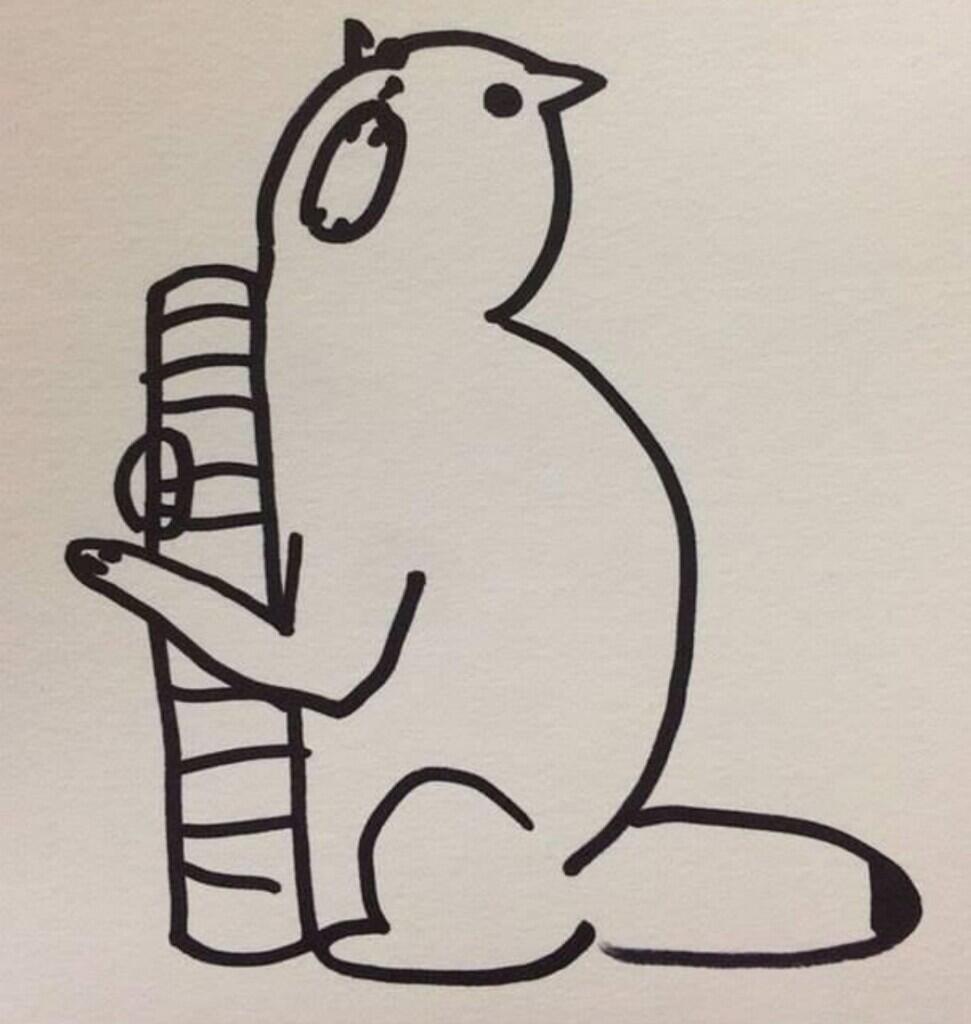 Gokil! 10 Pose Kucing Terkonyol Beserta Ilustrasi Gambarnya Pada Kertas