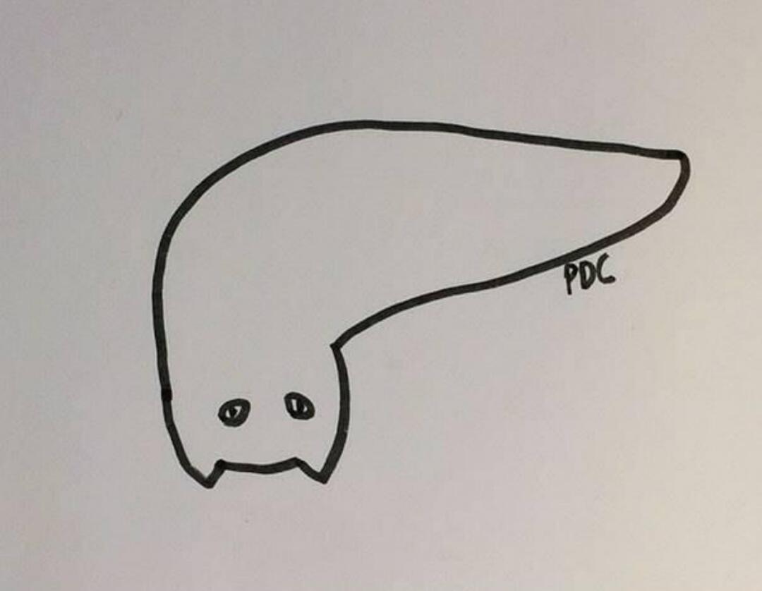 Gokil! 10 Pose Kucing Terkonyol Beserta Ilustrasi Gambarnya Pada Kertas