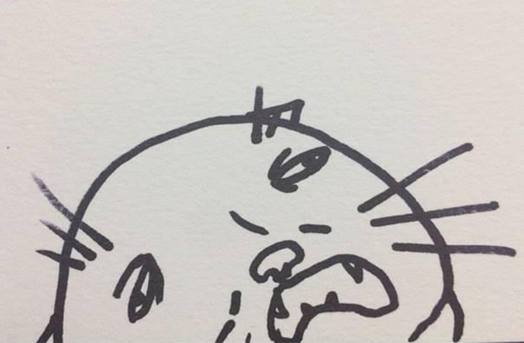 Gokil! 10 Pose Kucing Terkonyol Beserta Ilustrasi Gambarnya Pada Kertas