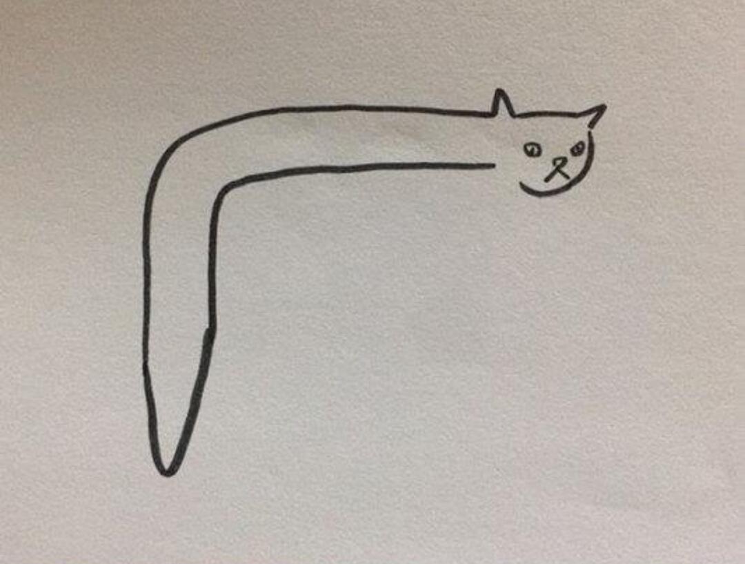 Gokil! 10 Pose Kucing Terkonyol Beserta Ilustrasi Gambarnya Pada Kertas