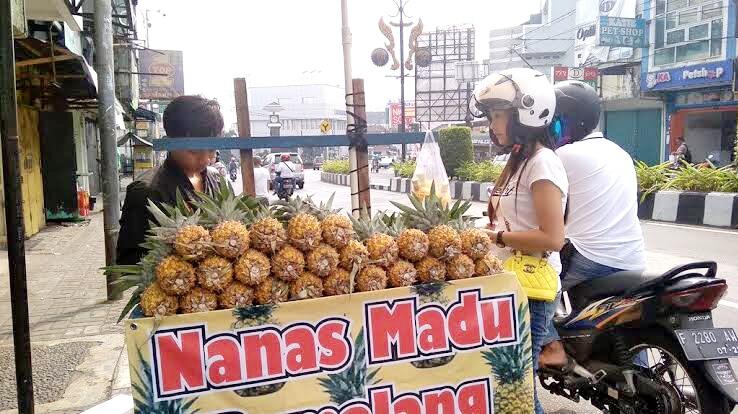 Fakta Tentang Nanas Madu Dari Info Pedagangnya, Pantes Ramai Terus!