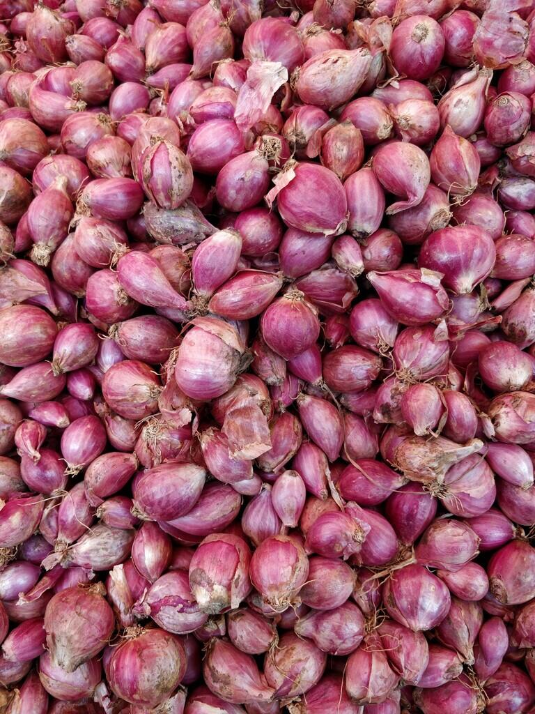 Pemkab Bangka Tengah Gandeng BI Ajak Petani Terapkan IoT Smart Farming