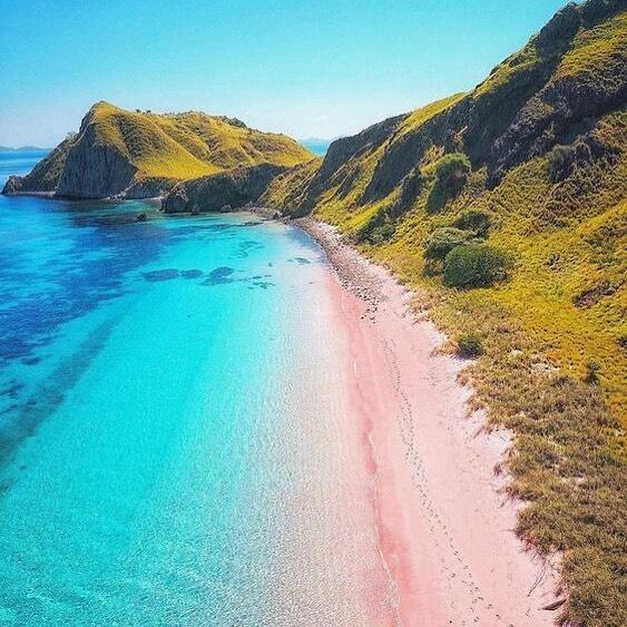 Pesona alam pantai pink labuan bajo