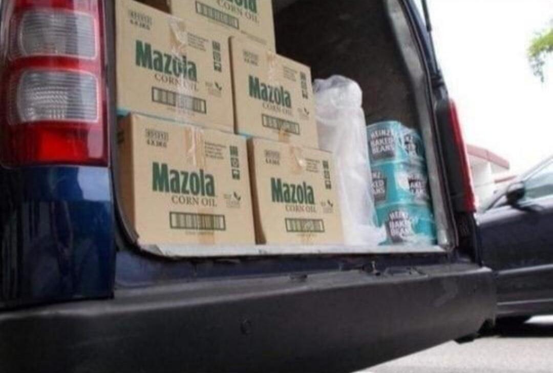 Tak Ada Yang Menyangka Ternyata 8 Potret Ini Hasil Karya Seekor Anjing