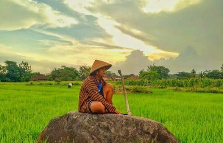 Hari Tani Nasional Hanya Angin Surga bagi Petani, Apa Pendapatmu?