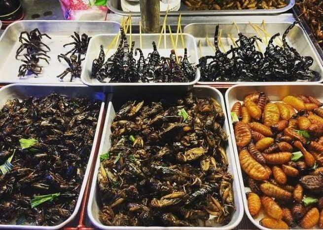 Street Food Di Thailand Bikin Ngeri Yang Mau Beli, Kamu Dah Pernah Coba!