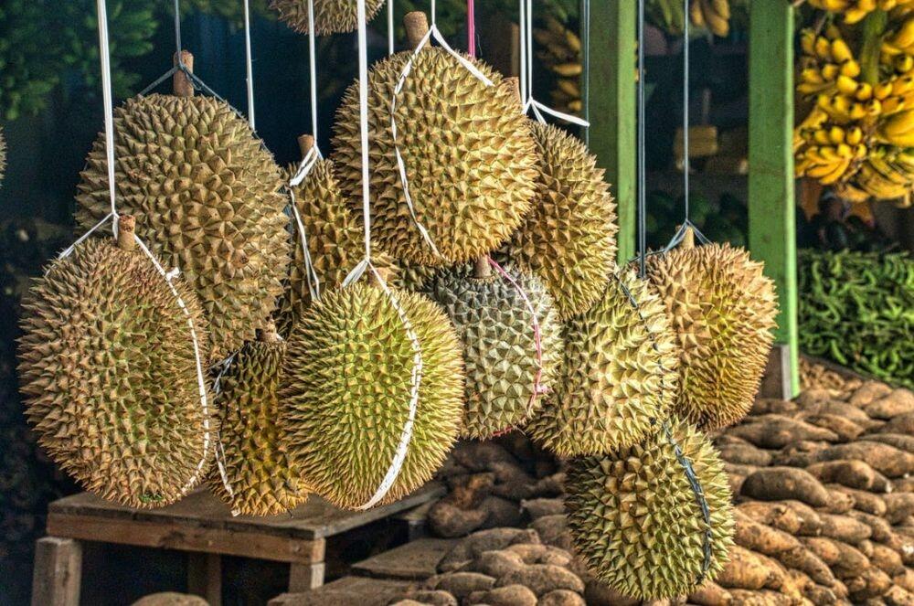 Tips Memilih Durian yang Manis dan Cara Menyimpannya, Catat!

