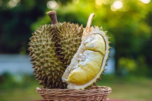 Tips Memilih Durian yang Manis dan Cara Menyimpannya, Catat!

