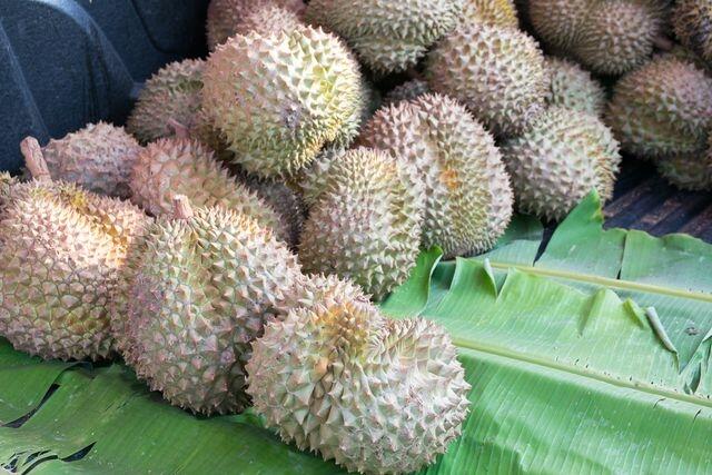 Tips Memilih Durian yang Manis dan Cara Menyimpannya, Catat!

