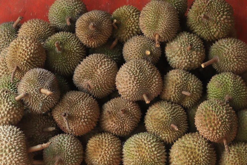 Tips Memilih Durian yang Manis dan Cara Menyimpannya, Catat!

