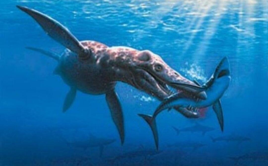 6 Makhluk Menyeramkan Bertubuh Gigantisme yang Pernah Hidup di Hamparan Lautan