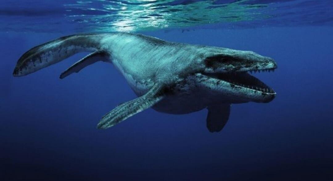 6 Makhluk Menyeramkan Bertubuh Gigantisme yang Pernah Hidup di Hamparan Lautan