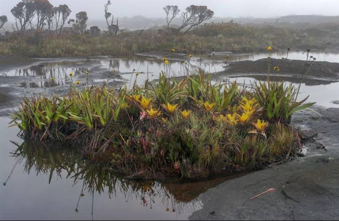 6 Tempat Dengan Pemandangan Alam yang Begitu Langka dan Memukau