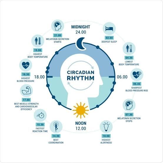 Mengoptimalkan Gaya Hidup, Selaras dengan Circadian Rhythm untuk Kesehatan.