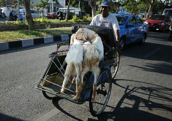 Becak??