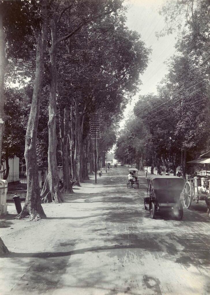 Pemandangan jalan di Kota Surabaya, sekitar 1900.
