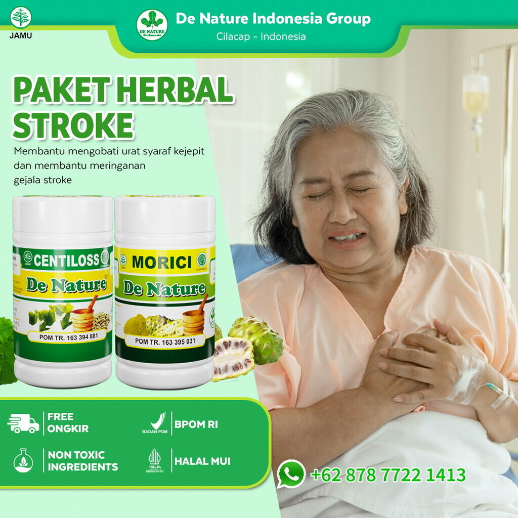 Obat Stroke Struke Struk Strok Ringan Dan Berat Iskemik Herbal