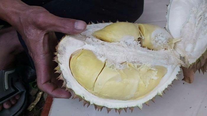 Parah! Seorang Pria Dibunuh Karena Rebutan Durian! Kok Bisa?