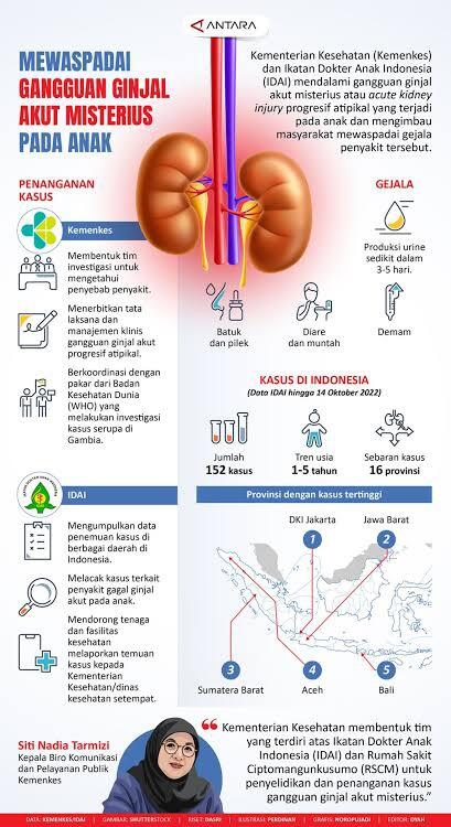 Marak Kasus Gagal Ginjal Pada Anak, Orangtua Wajib Waspada, Kenali Gejalanya! 