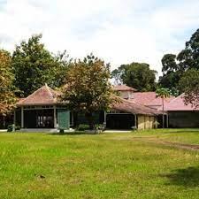 Konon Bisa Datangkan Jodoh, Ini Sejarah Pohon Sulastri di Langenharjo Sukoharjo