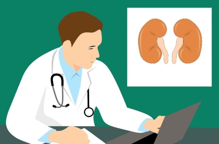 Berikut Langkah-langkah Agar Ginjal Anda Tetap Sehat