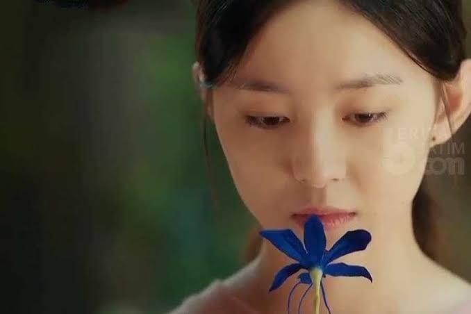Anggrek Biru? | Drama korea " Little Women "