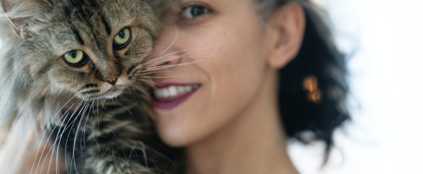Beberapa Hewan Berikut Sangat Cocok DiPelihara Oleh Seorang Introvert